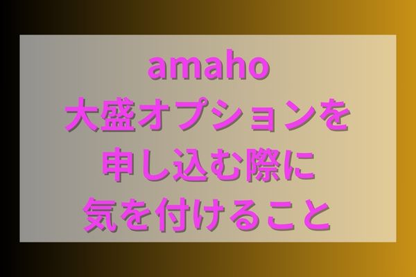 ahamo大盛オプションを申し込む際に気を付けること